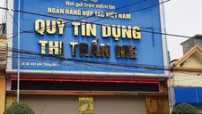 Bắt Giám đốc Ngân hàng Hợp tác xã VN chi nhánh Ninh Bình