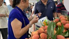 Hàng Việt “bì bõm” vào siêu thị ngoại