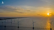 ‘Kéo dài ưu đãi giá sẽ gây tổn hại đến ngành điện gió Việt Nam’