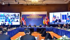 Việt Nam đã chủ động dẫn dắt ASEAN vượt qua khó khăn