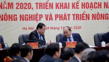 Thủ tướng Nguyễn Xuân Phúc: Tết này làm sao để giá thịt heo không cao?