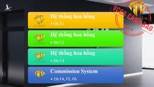 Tham gia tư vấn, đầu tư trên sàn Forex có thể bị xử lý hình sự