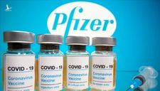 Đề nghị Bộ Y tế phê duyệt khẩn cấp vắc xin của Pfizer