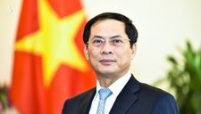 Bộ Ngoại giao tham vọng đưa Việt Nam thành tâm điểm liên kết kinh tế toàn cầu