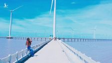 Đồng bằng sông Cửu Long: Khi mặt biển là những cánh đồng điện gió