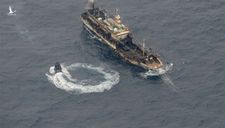 ‘Đại ngư thuyền’ Trung Quốc tàn phá biển và bá quyền đại dương