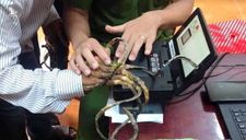 “Đánh vật” 25 phút không lấy nổi vân tay người có bộ móng dài nhất Việt Nam