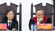 Thẩm phán Trương Việt Toàn: Bộ Công Thương ký gì cũng đúng, vụ án đã không có 19 bị cáo
