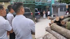 Hà Nội: Công an vào cuộc vụ chủ vườn ‘ôm’ tiền tỉ mua lan đột biến bỏ trốn