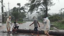 CSGT Đắk Nông dầm mưa cùng người dân dọn cây gỗ lớn đổ ngang đường