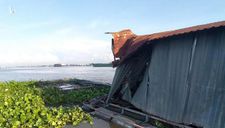 Sà lan tông chìm bè nuôi cá, hơn 9 tấn cá thoát ra sông Tiền