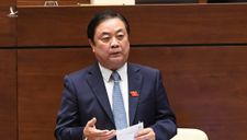 ‘Hình ảnh người thành thị về nông thôn tránh dịch nói lên một cảm xúc’