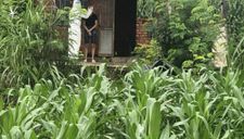 Hai vợ chồng từ TP HCM về Đắk Lắk cùng mắc Covid-19