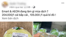 Sự thật thông tin giá tăng phi mã, bắp cải Việt Nam giá 250.000 đồng/kg