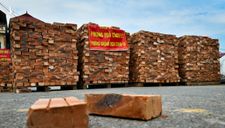 Xã lập chốt phong tỏa bằng gạch sau khi có 6 ca F0