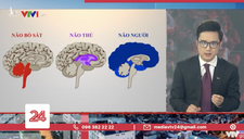 VTV dùng hình tượng “não” với những trường hợp vi phạm quy định giãn cách gây tranh cãi