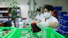 Hà Nội chuyển 1.000 đơn vị máu vào chi viện TP HCM