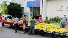 Chung cư ở TP.HCM tặng rau củ miễn phí cho người dân