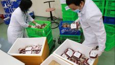 Thêm 2.000 đơn vị máu từ Hà Nội chi viện TP HCM