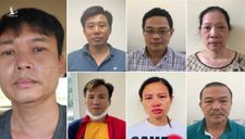 Tổng giám đốc Công ty Công viên cây xanh Hà Nội bị bắt vì nâng khống giá cây