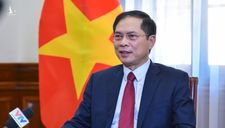 Kiều bào đóng góp hơn 50 tỷ giúp Việt Nam chống COVID-19