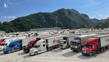 Trung Quốc bất ngờ thông báo tạm dừng xuất nhập khẩu qua cửa khẩu Lũng Vài