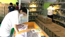 Công an TP.HCM làm việc với 200 trường hợp ‘bom hàng’ đi chợ hộ
