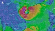 Tin bão mới nhất: Bão số 8 di chuyển rất nhanh, cách Hà Tĩnh khoảng 400km