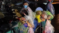 Vụ tiêu hủy 15 con chó: Trưởng trạm y tế xin nghỉ việc