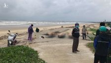 5 người mất tích trong bão lũ ở Quảng Nam, Quảng Ngãi đã được tìm thấy