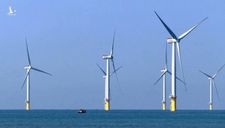 Tập đoàn điện gió Đan Mạch đề xuất nghiên cứu, khảo sát Dự án điện gió ngoài khơi thành phố Hải Phòng