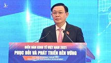 Chủ tịch Quốc hội: Việt Nam sẽ sớm phục hồi và phát triển mạnh mẽ, bền vững