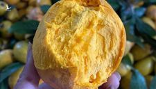 Loại trái cây trên Amazon bán 1,5 triệu/kg, chợ Việt Nam bán rẻ bèo