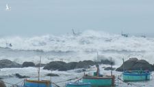 Siêu bão Rai ‘quét sạch’ cây xanh ở đảo Song Tử Tây, nhấn chìm 5 tàu cá ở Bình Thuận