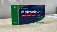 Molnupiravir sẽ bán đại trà, giá khoảng 300.000 đồng một hộp