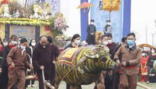 Hình ảnh Chủ tịch nước Nguyễn Xuân Phúc xuống đồng cày ruộng ở lễ Tịch điền
