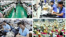 Những quan ngại về thị trường lao động Việt Nam và giải pháp