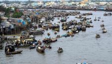Liên kết vùng – “chìa khóa” cho sự phát triển bền vững của Đồng bằng sông Cửu Long