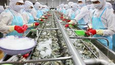 Chúng ta sẽ bị gì khi đồng Euro trượt giá?