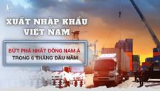 Xuất nhập khẩu Việt Nam 6 tháng đầu năm: Bứt phá nhất Đông Nam Á