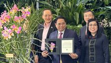 Loài hoa quý “độc nhất vô nhị” Singapore dành cho Thủ tướng và phu nhân Việt Nam