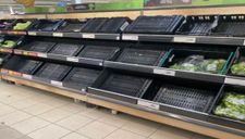 “Cơn bão hoàn hảo” và những kệ hàng trống không trong siêu thị Anh