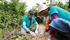Những người nổi tiếng có trách nhiệm với cộng đồng