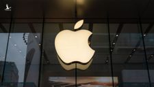 Đất lành chim đậu: Apple chính thức “đóng rễ” tại Việt Nam
