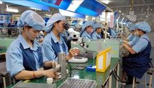 Hàn Quốc “cắm cờ”, chọn Việt Nam làm cứ điểm sản xuất chip