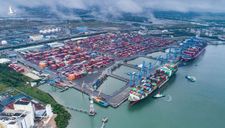 Vì đâu cảng biển Việt Nam liên tục lọt top thế giới?