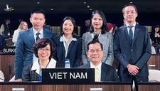 Việt Nam được bầu làm Phó Chủ tịch Đại hội đồng UNESCO