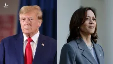 Ông Trump và bà Harris đều không giành được đa số phiếu đại cử tri để chiến thắng thì quy định xử lý ra sao?