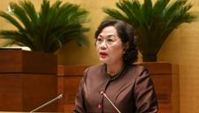 Ngân hàng Nhà nước có thể được quyết cho vay đặc biệt 0%, không tài sản đảm bảo