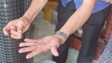 Phát hiện một loại gạo bất thường nghi là gạo giả